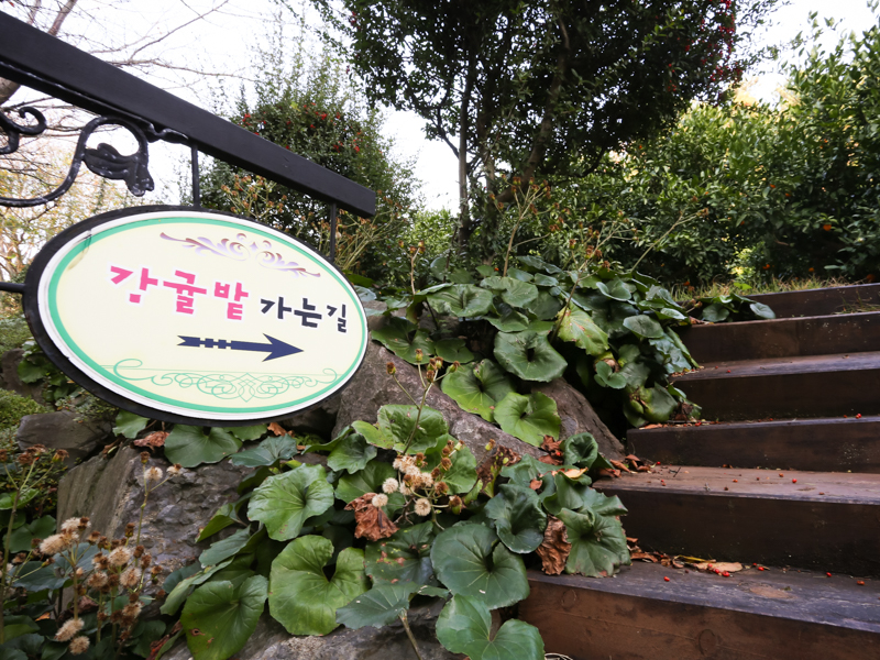써니빌리조트